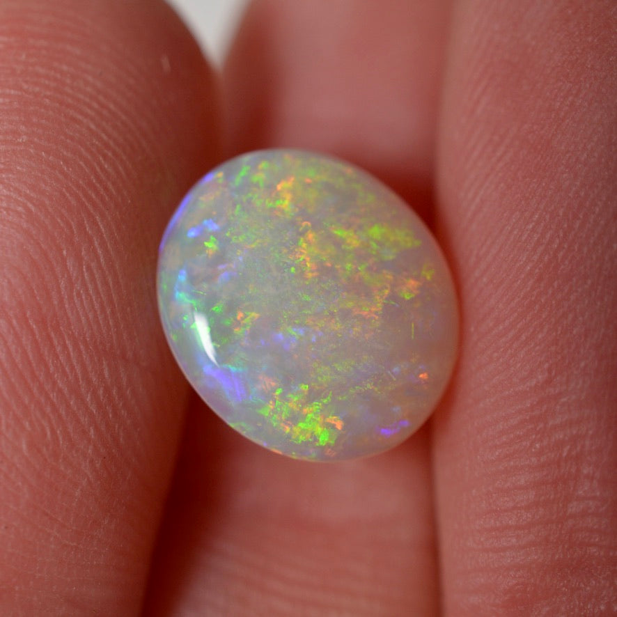 2.10 Vivid Oval