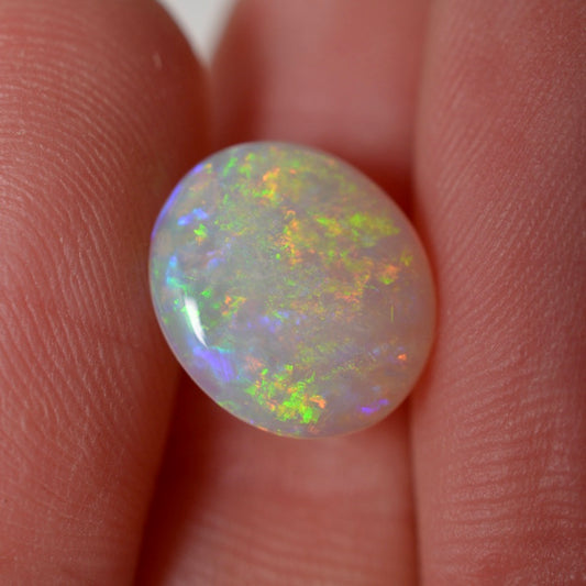 2.10 Vivid Oval