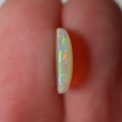 2.10 Vivid Oval