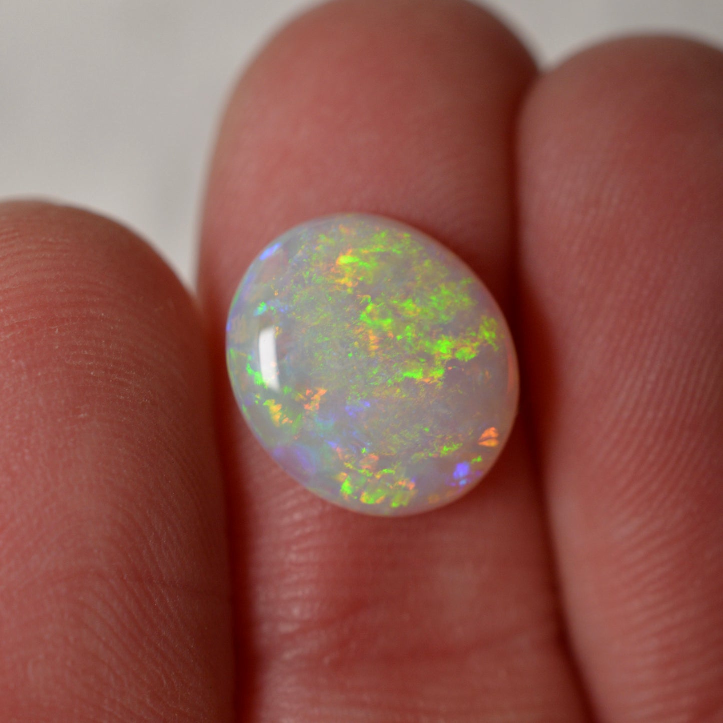 2.10 Vivid Oval