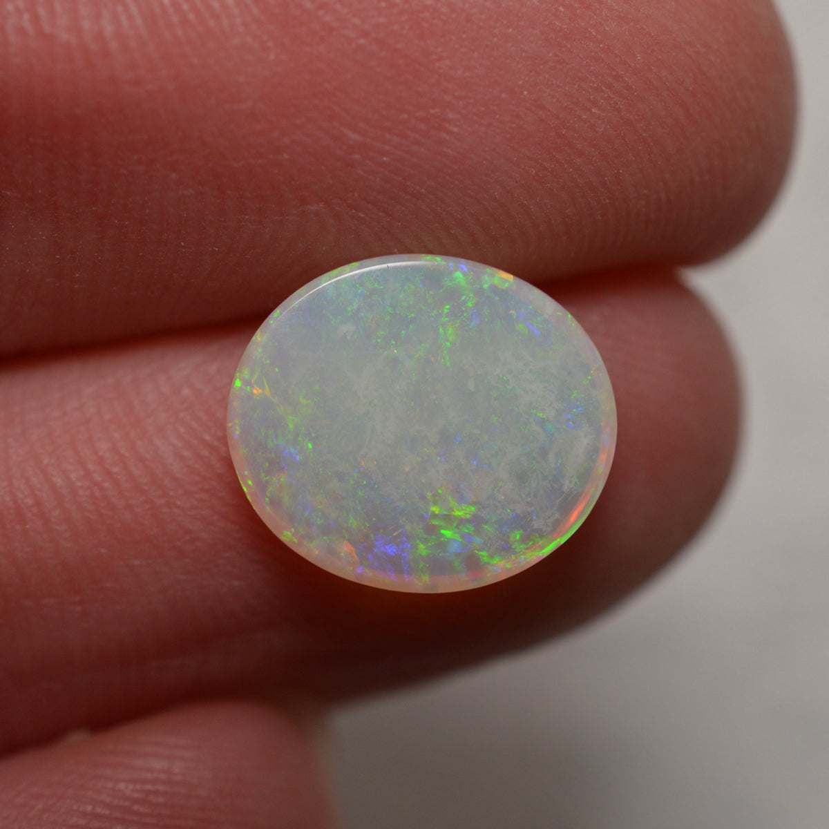 2.10 Vivid Oval