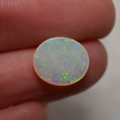 2.10 Vivid Oval