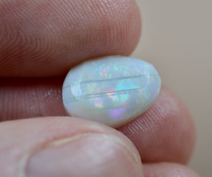 22.37ct Solid Rubs | Jackson Opals