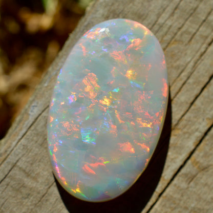 20.1ct Solid Rainbow Oval