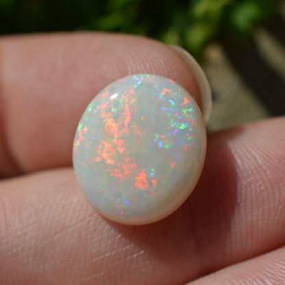 5.56ct White Based Oval