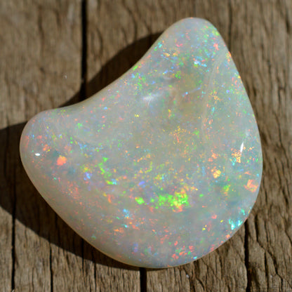 15.5ct Opal Shell