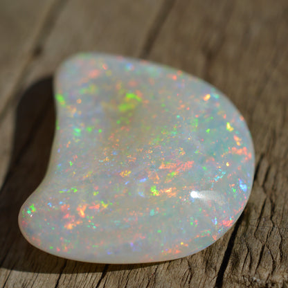 15.5ct Opal Shell