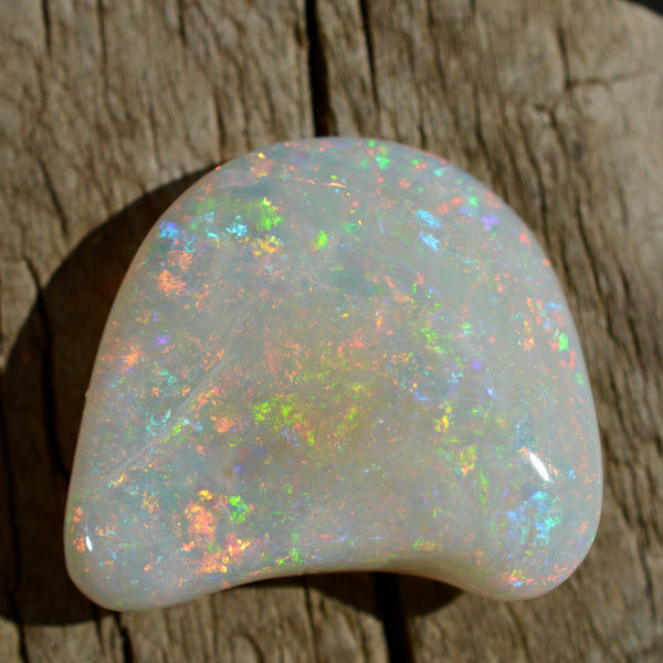 15.5ct Opal Shell