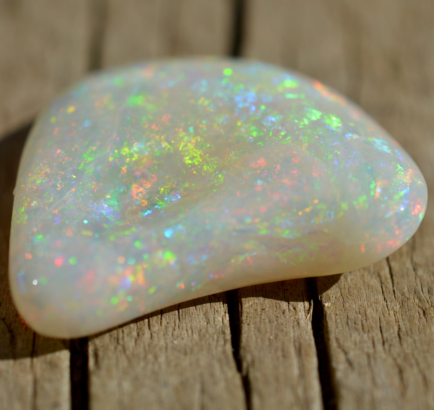 15.5ct Opal Shell