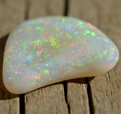 15.5ct Opal Shell