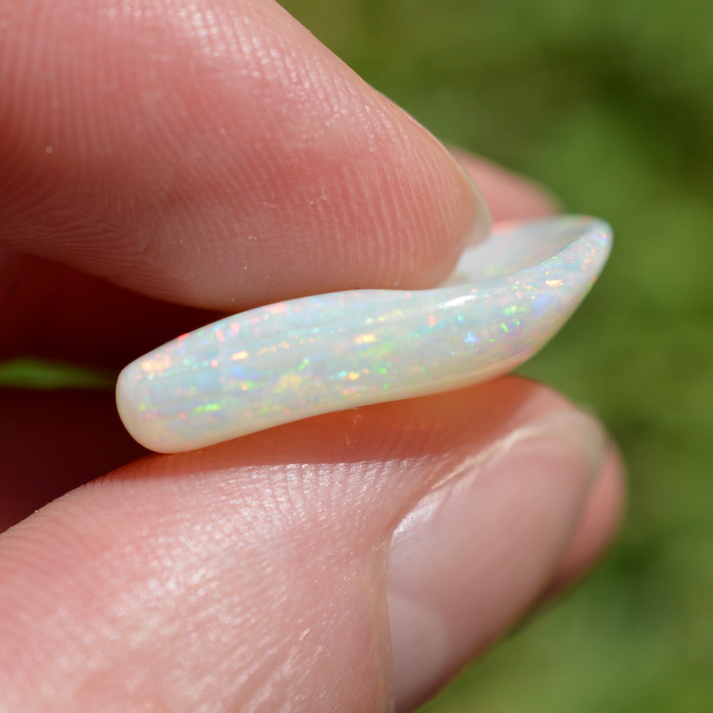 15.5ct Opal Shell