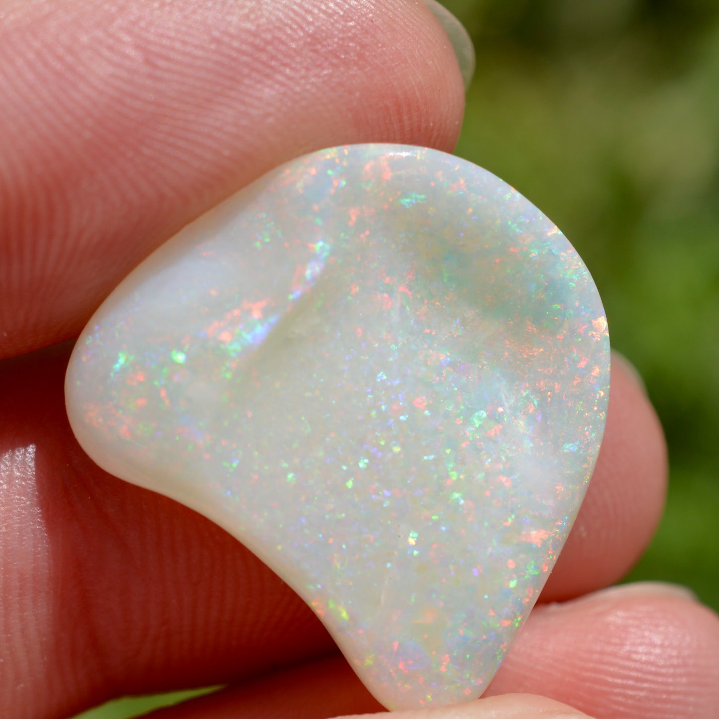 15.5ct Opal Shell