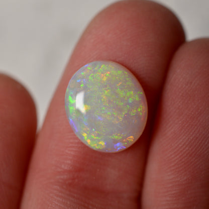 2.10 Vivid Oval
