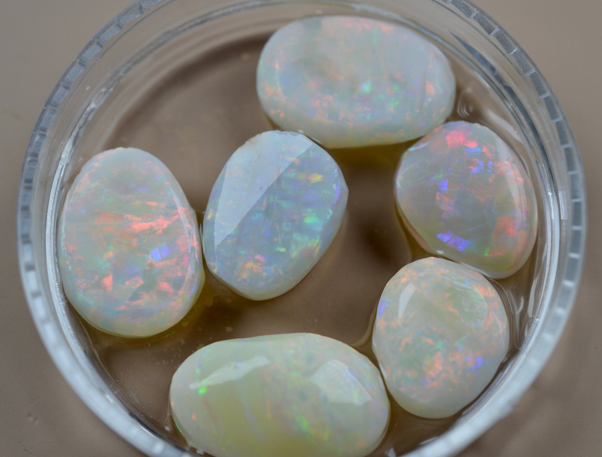 22.37ct Solid Rubs | Jackson Opals